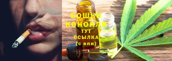 гидра Белокуриха