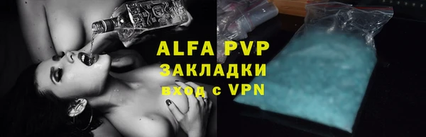 гидра Белокуриха