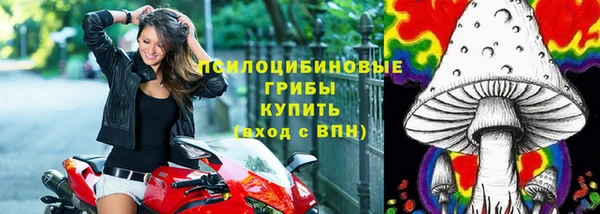 гидра Белокуриха