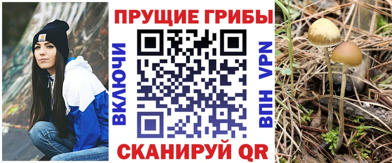магазин продажи   Первомайск  Галлюциногенные грибы прущие грибы 